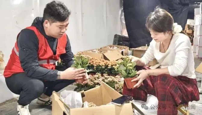 微信图片_20250529155848.jpg