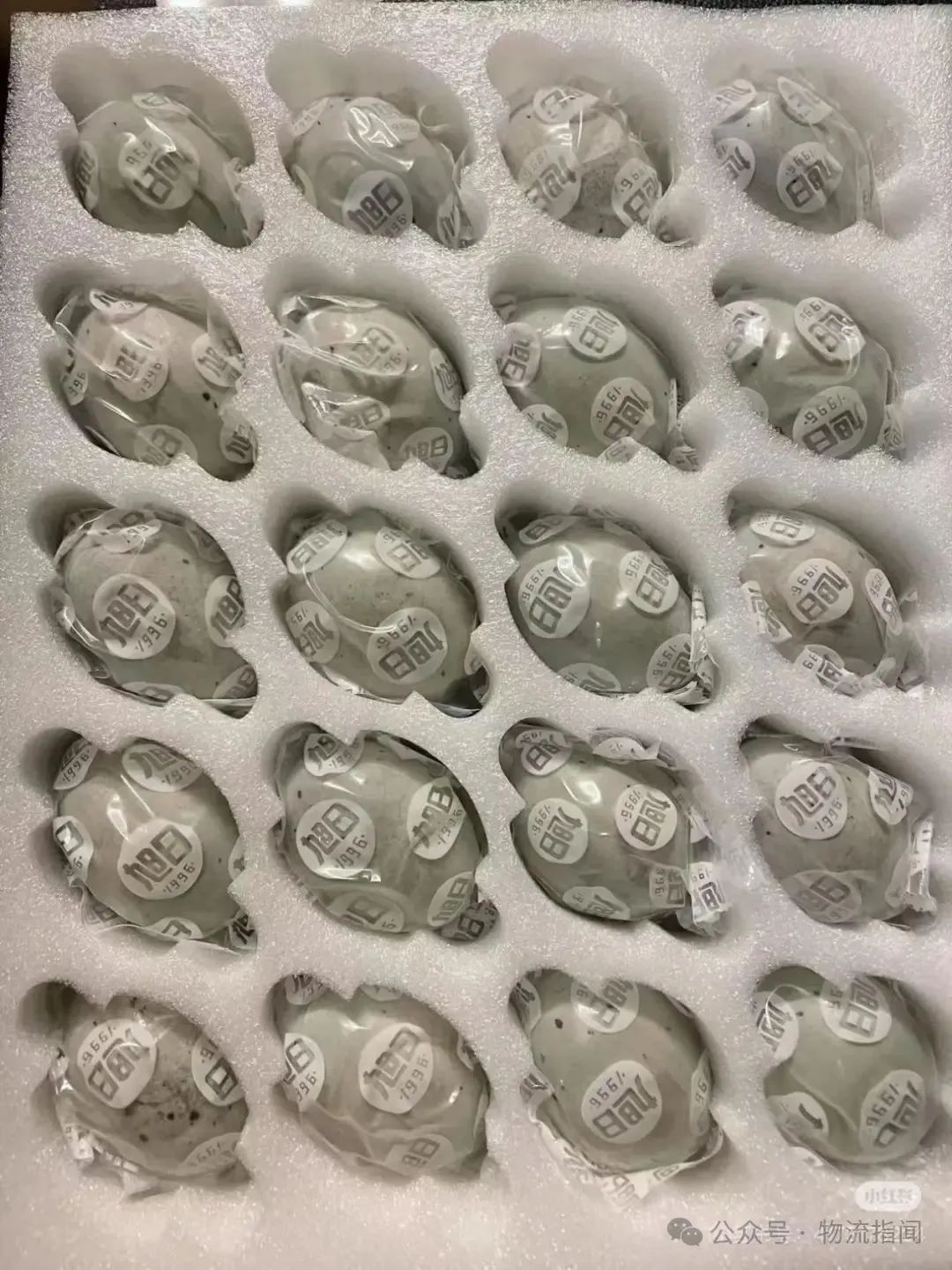 微信图片_20250708143356.jpg